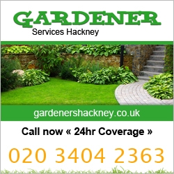 Gardener Services Hackney