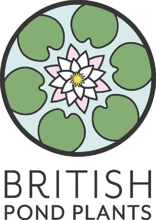 British Pond Plants