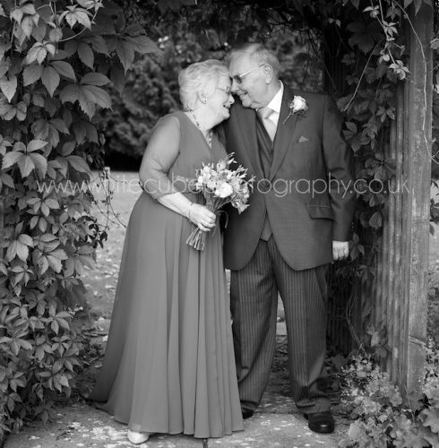 The Little Weddings Photographer, Worcestershire Weddings