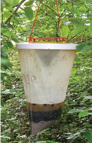 Industrial Fly Trap