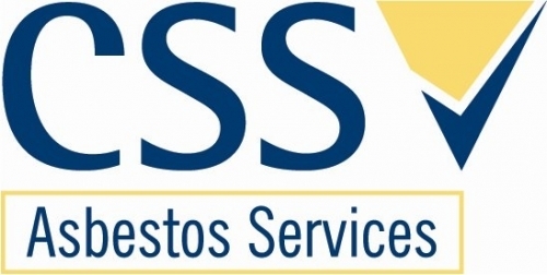 Css Logo