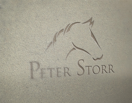 Peterstorr logo design