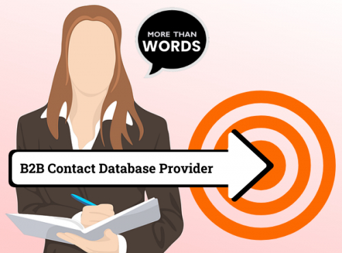 B2B contact database provider