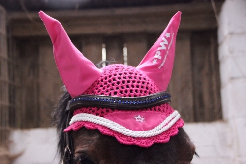 Funky Filly Pink Fly Veil Personalised